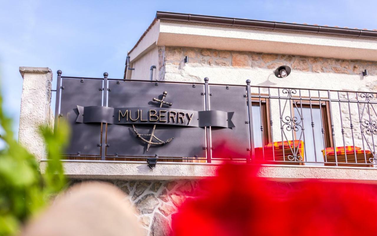 Villa Mulberry Milohnici 外观 照片